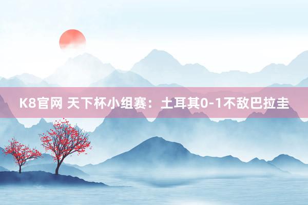 K8官网 天下杯小组赛：土耳其0-1不敌巴拉圭